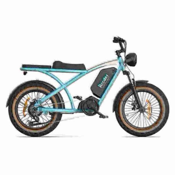 Folding Electric Bicycles manufacturer