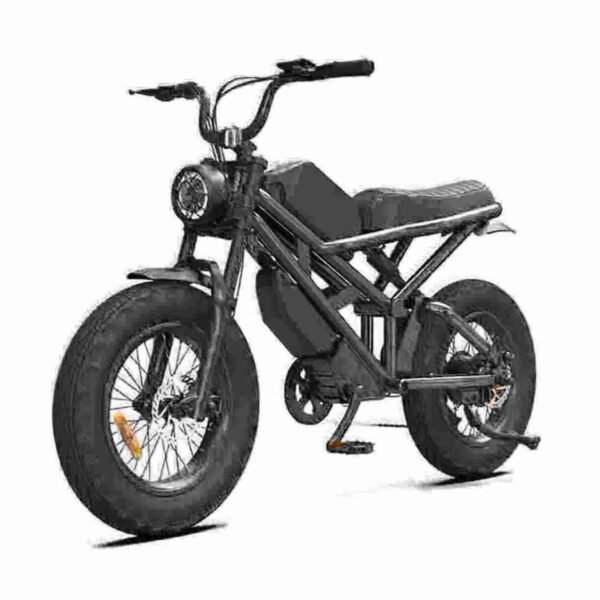 Folding Electric Moped Bike manufacturer
