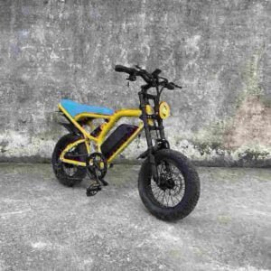 ladies electric bike manufacturer