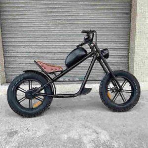 Light Foldable Ebike manufacturer