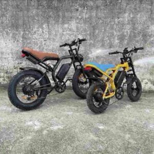 Lightweight Folding Bike Electric manufacturer