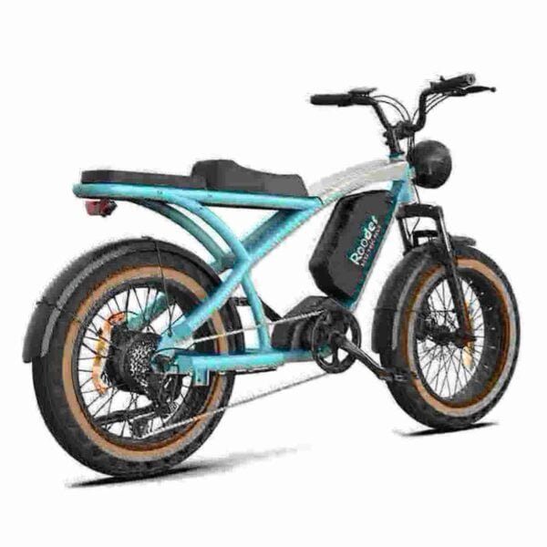 Longest Range Folding Electric Bike manufacturer