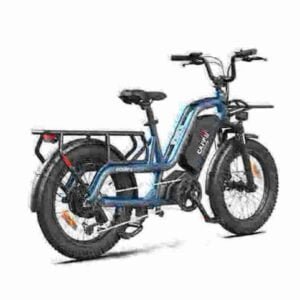 Mens Electric Bike manufacturer