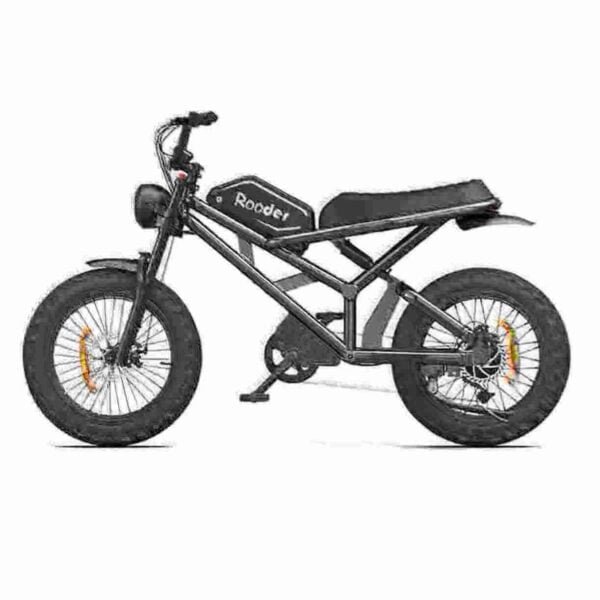 Moped Style E Bike manufacturer