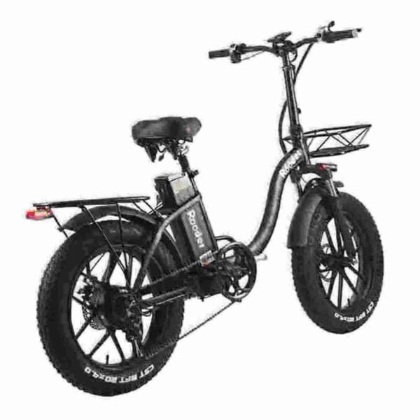 Mountain Snow Electric Bicycle manufacturer