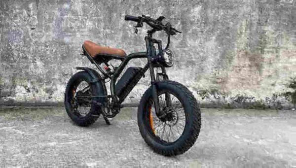 Single Speed Electric Bike manufacturer