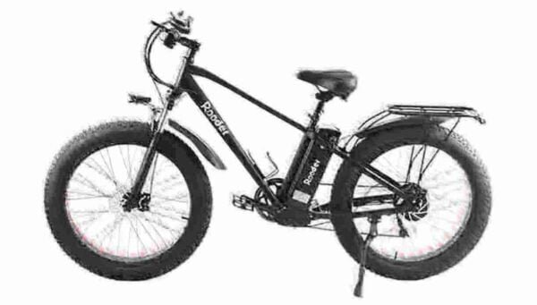 The Fat E Bike manufacturer