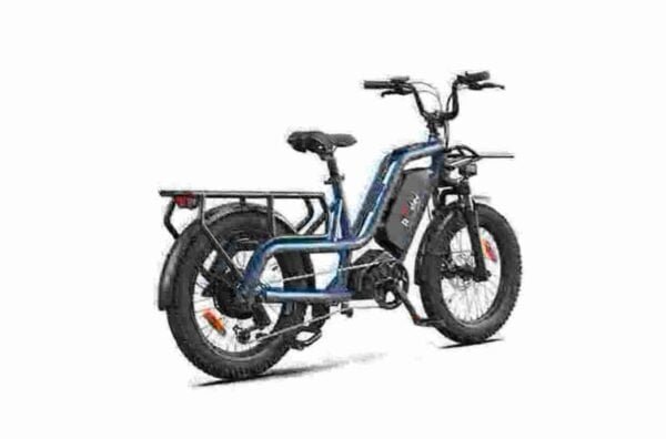 Thick Tire Electric Bike manufacturer