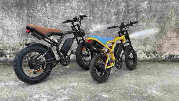 Top Electric Folding Bikes manufacturer