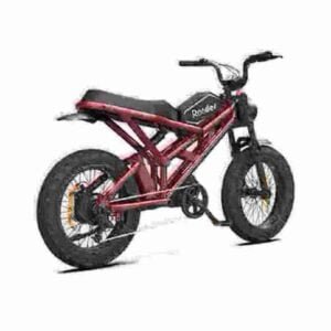 Top Rated Electric Dirt Bikes manufacturer