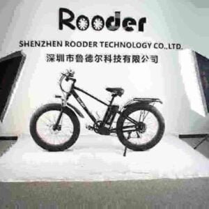 Wholesale Electric Bikes manufacturer