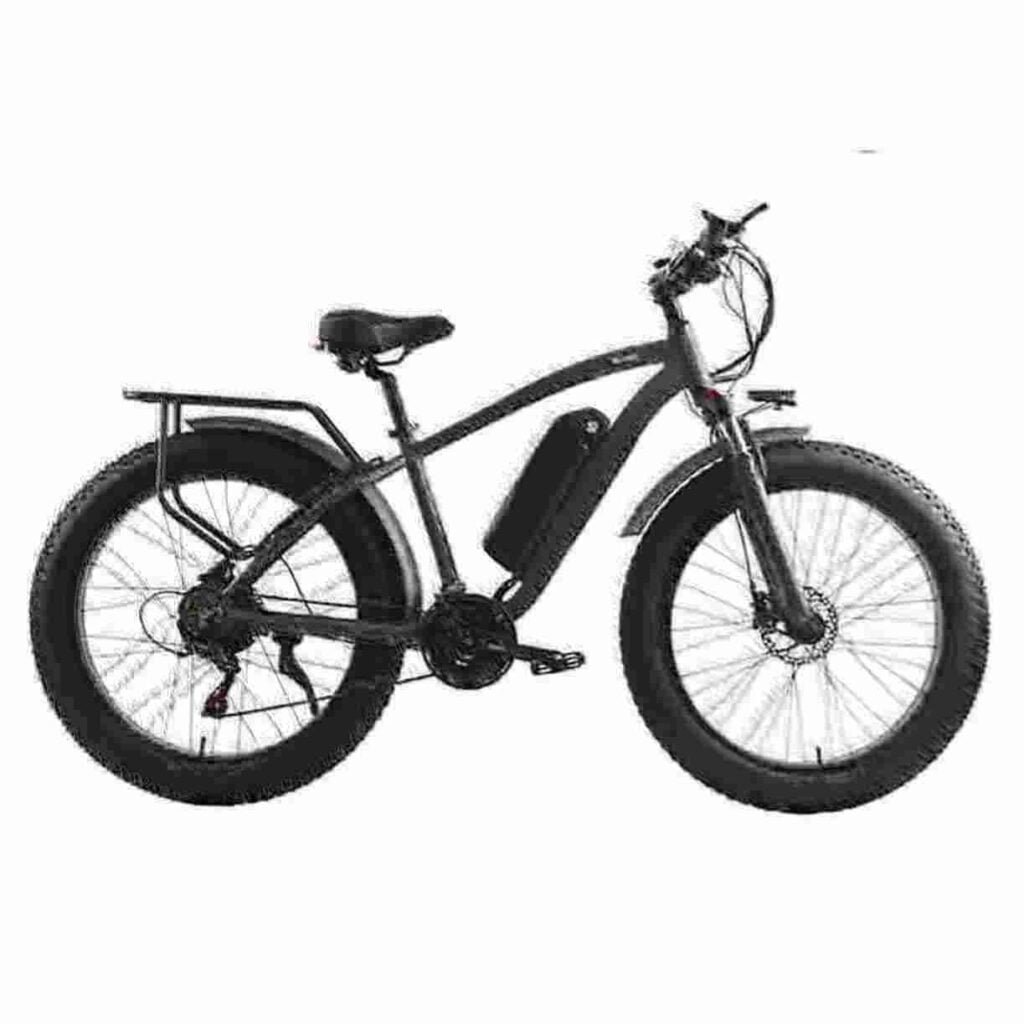 Wide Tire Electric Bike manufacturer