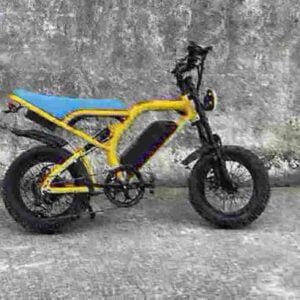 all electric bike manufacturer