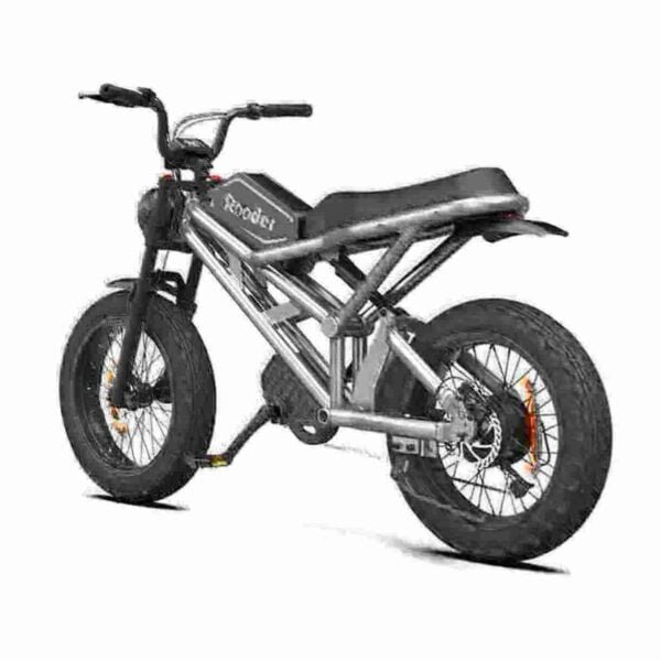 best fat tire ebike 2024 manufacturer