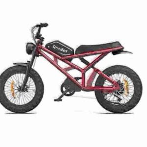 black electric bike manufacturer