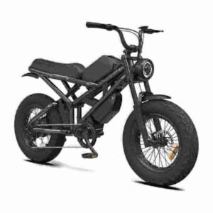 buy electric bicycle manufacturer