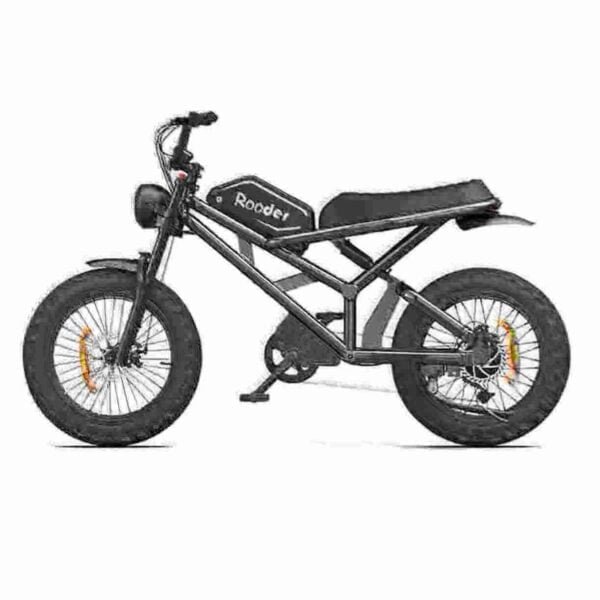 buy electric cycle manufacturer