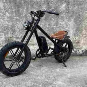 cheap fast electric bike manufacturer