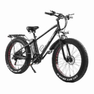 e bike shops manufacturer