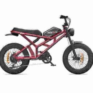 e bike trike manufacturer