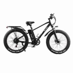 ebike pedal assist manufacturer