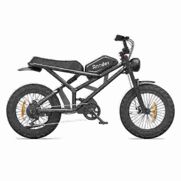 electric bike for 2 adults manufacturer