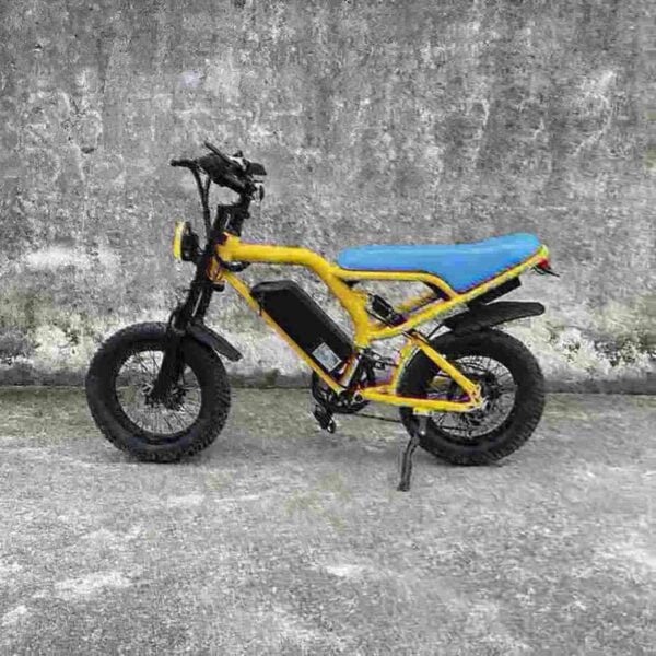 electric bike for adults manufacturer