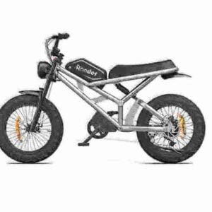 electric bike shop near me manufacturer