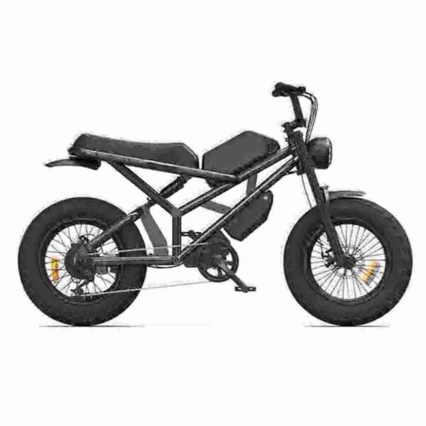 electric bike store near me manufacturer