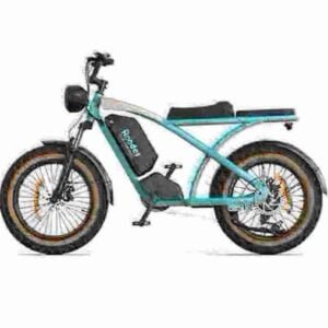 electric bike with sidecar manufacturer