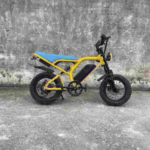 electric cruiser bike manufacturer