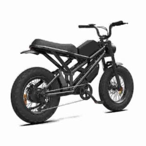 falt ebike manufacturer