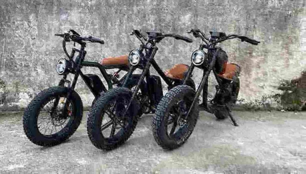 longest range electric bike 2024 manufacturer