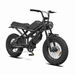 mini e bike manufacturer