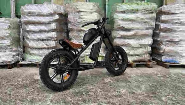 moped ebike manufacturer