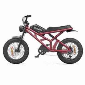 no pedal electric bike manufacturer
